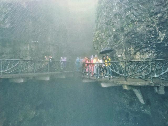 天门山森林公园和张家界森林公园,张家界天门山一日游最佳路线