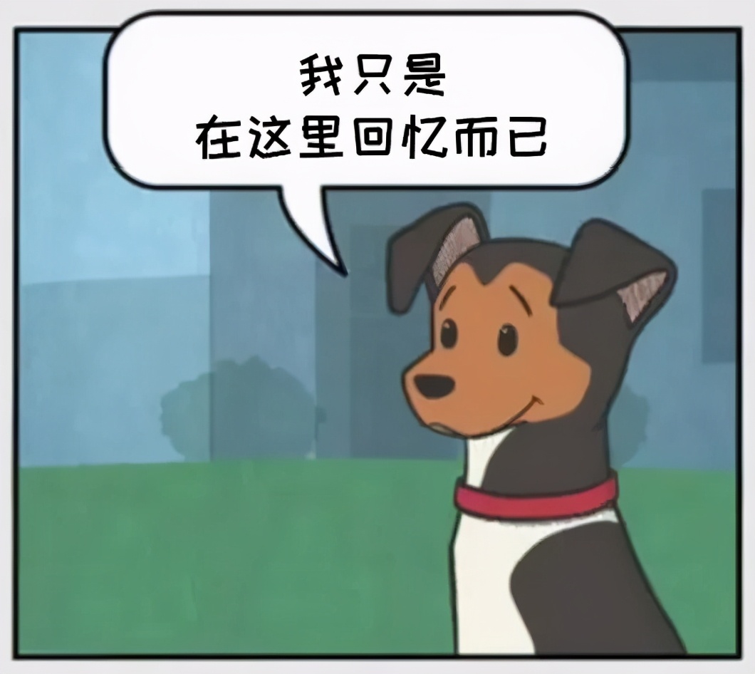 猫和铲屎官漫画全集,铲屎官和狗子的漫画