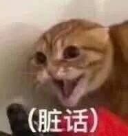 年纪轻轻就遇到了贵人表情包,表情包都是怎么来的德云社