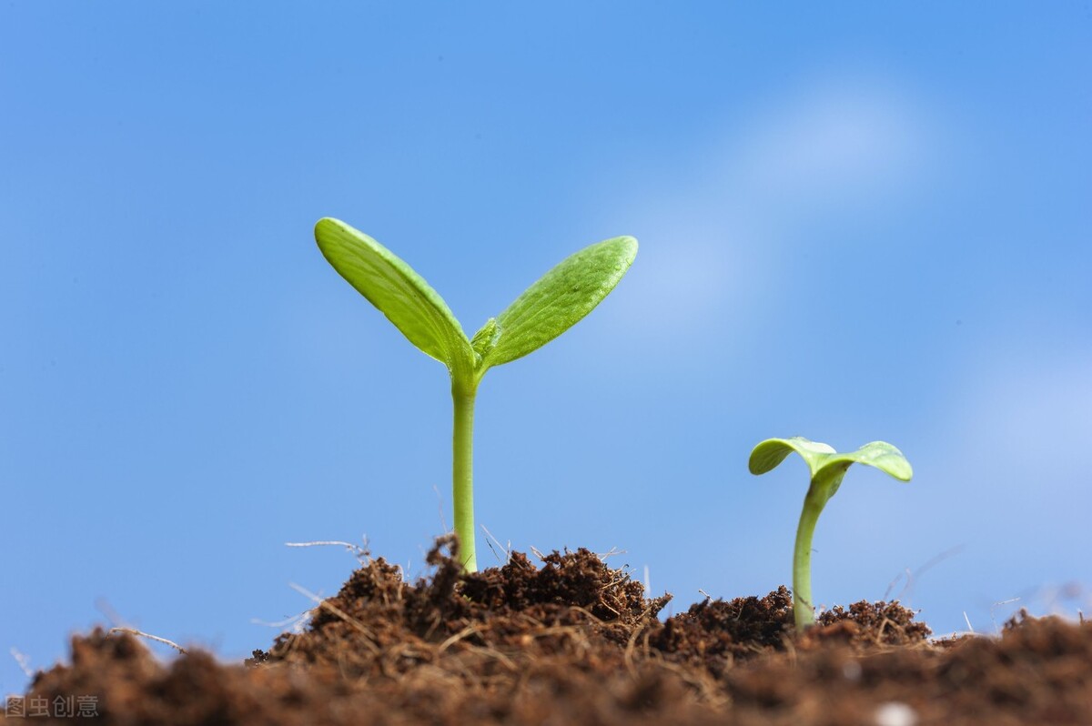 负债千万记录生活,负债千万传奇人物