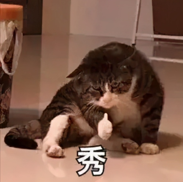 2020国家教育部自考改革文件,2024年教育政策改革自考文件