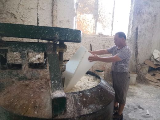 安徽省三下乡,三下乡凝聚青春力量助力振兴乡村