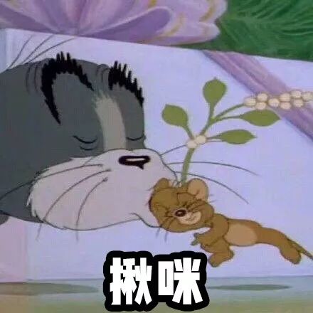 下半身胖怎么办,下半身胖能减下去吗