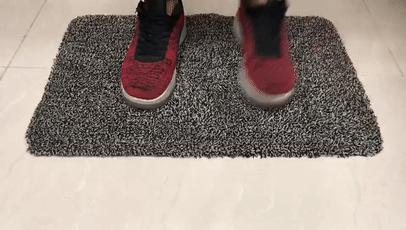 神奇的虎皮地毯,神奇宝贝的地毯