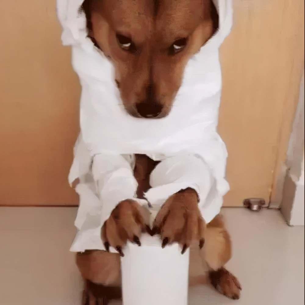 多少朋友圈逼王，在拼小圈社会性死亡