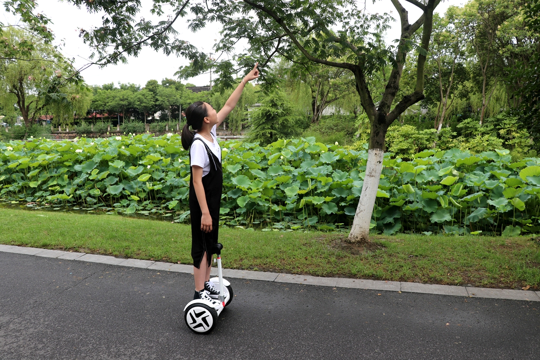 巅峰极速最高时速135的车有哪些,乐行天下v14adventure平衡车