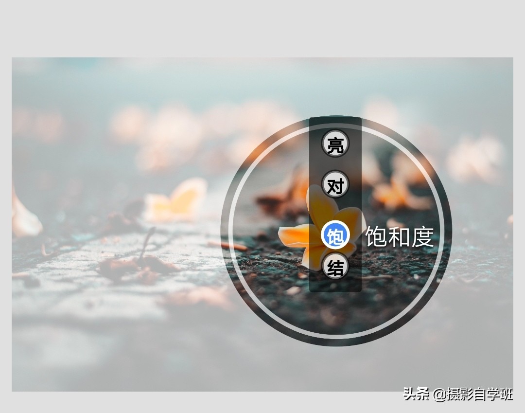 摄影拍出抽象风格照片5个诀窍,照片怎么加虚化