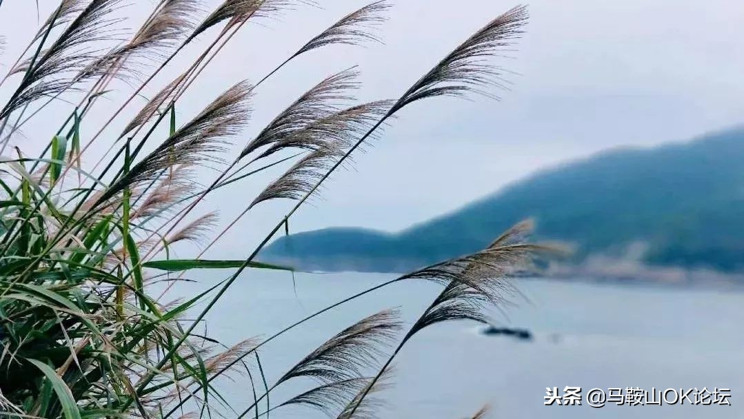 大学生在马鞍山都能干什么工作,毕业后的这几年你过得好吗