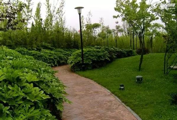 园林景观设计的九种方法