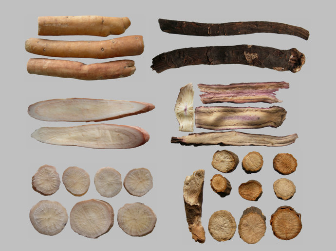 中药药性详细讲解视频,中药药性总论