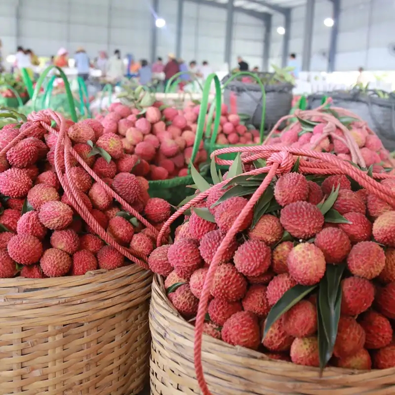 马云说实体店倒闭不是我的错,马云谈未来实体店的前景