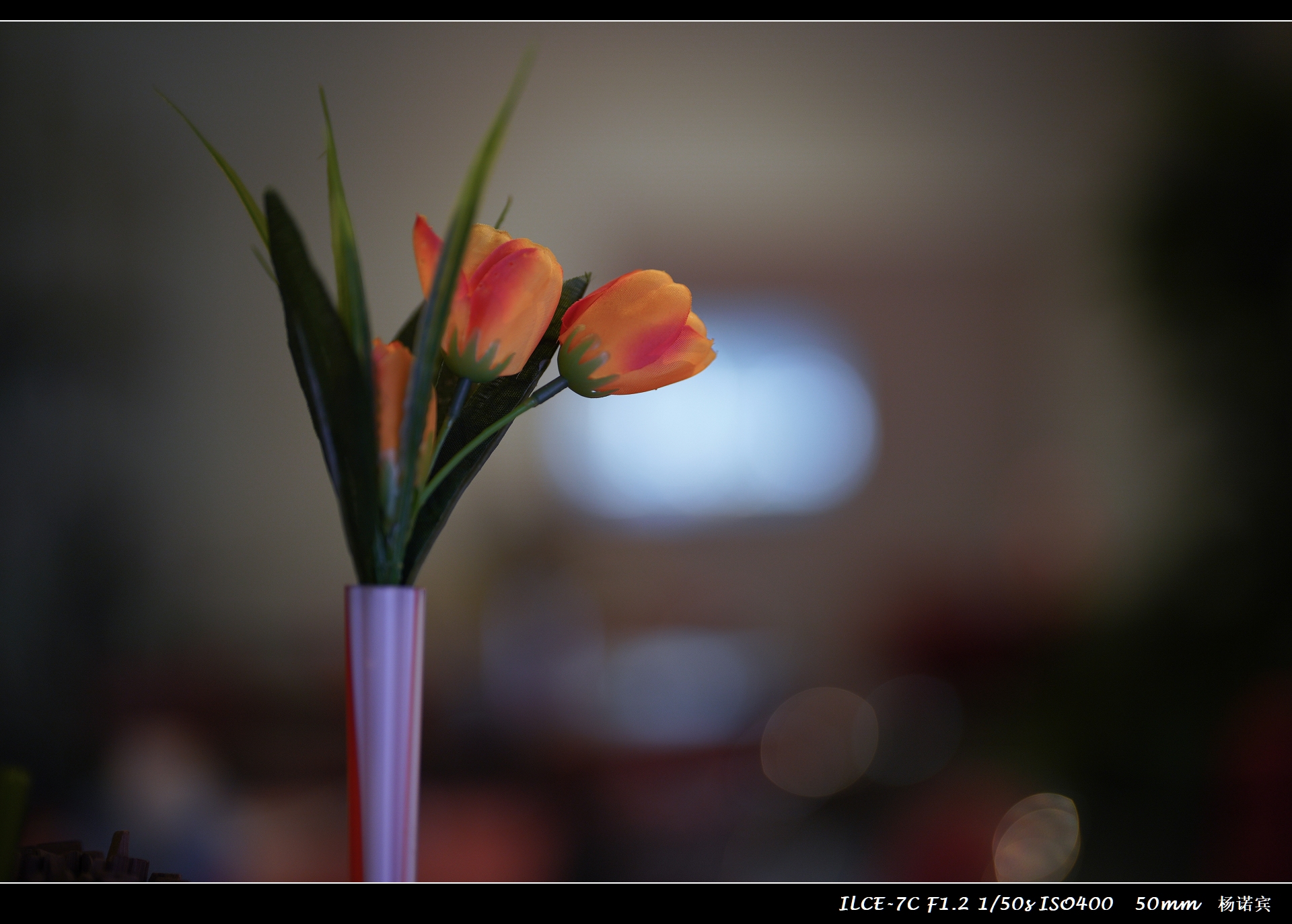 sonyfe50mmf1.8多重,sony50mm1.2