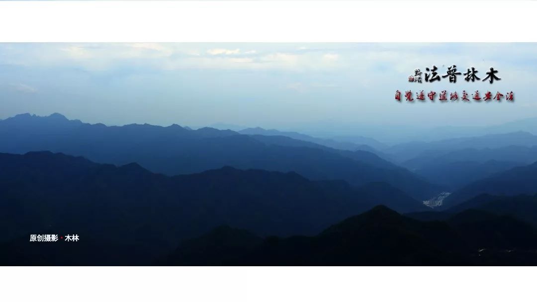 交通事故重伤构成交通肇事罪吗,交通事故特殊体质能评伤残吗