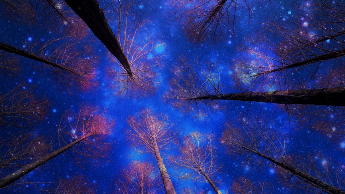 创业心灵鸡汤变现收益,心灵鸡汤创业文