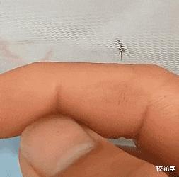 电梯里的妹子通常咋启齿搭讪比力好啊？哈哈