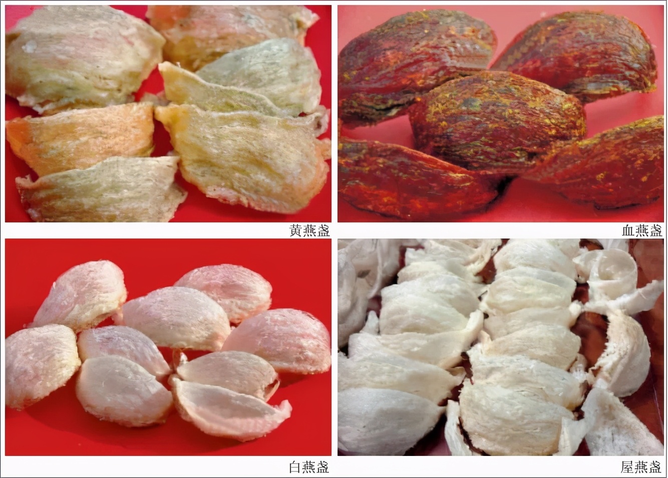 燕窝第一品牌销量,销量第二名燕窝