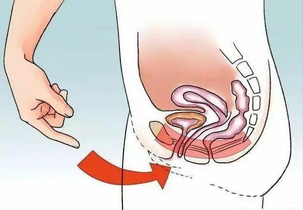 郑多燕产后盆底肌修复瑜伽,求实正位瑜伽