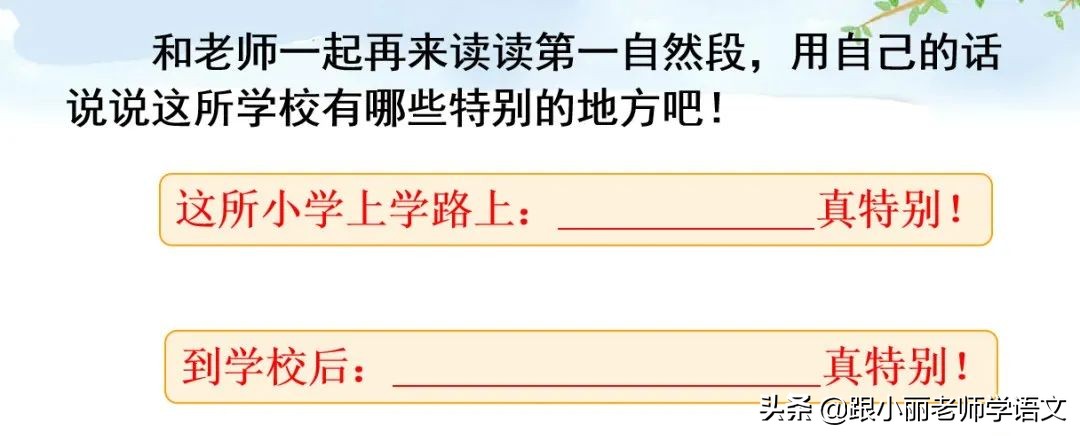 大青树下的小学必会知识点,大青树下的小学必考知识点