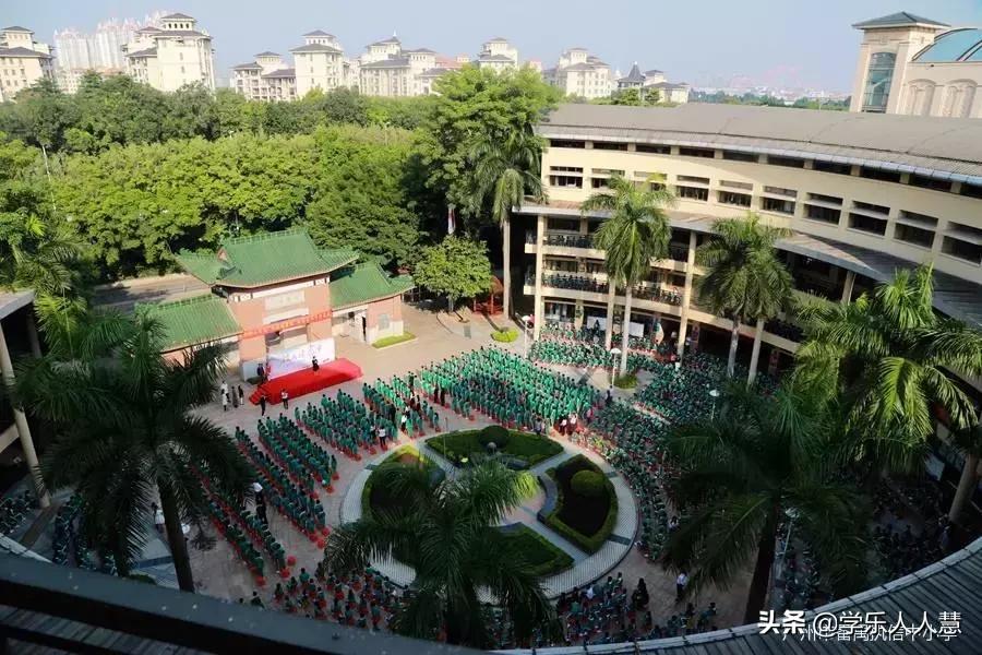 番禺执信学校排名,番禺执信中学招生热线