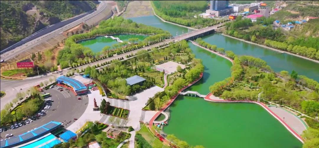 古县千年牡丹,古县牡丹的视频