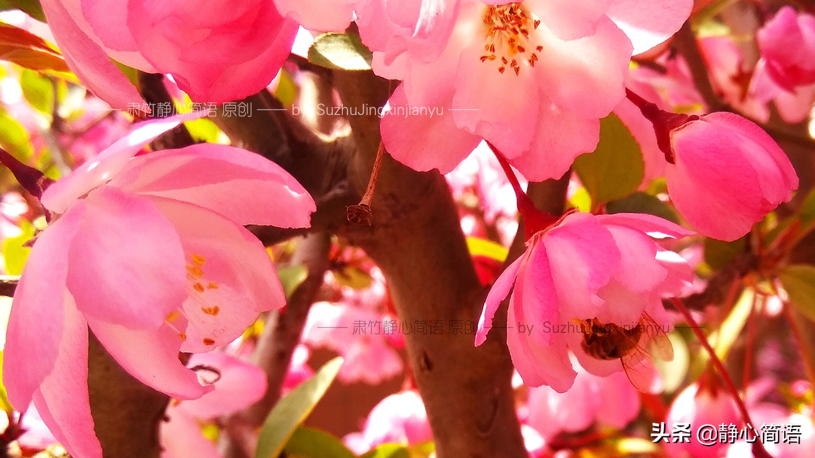 危机公关带来的启示,危机公关好处