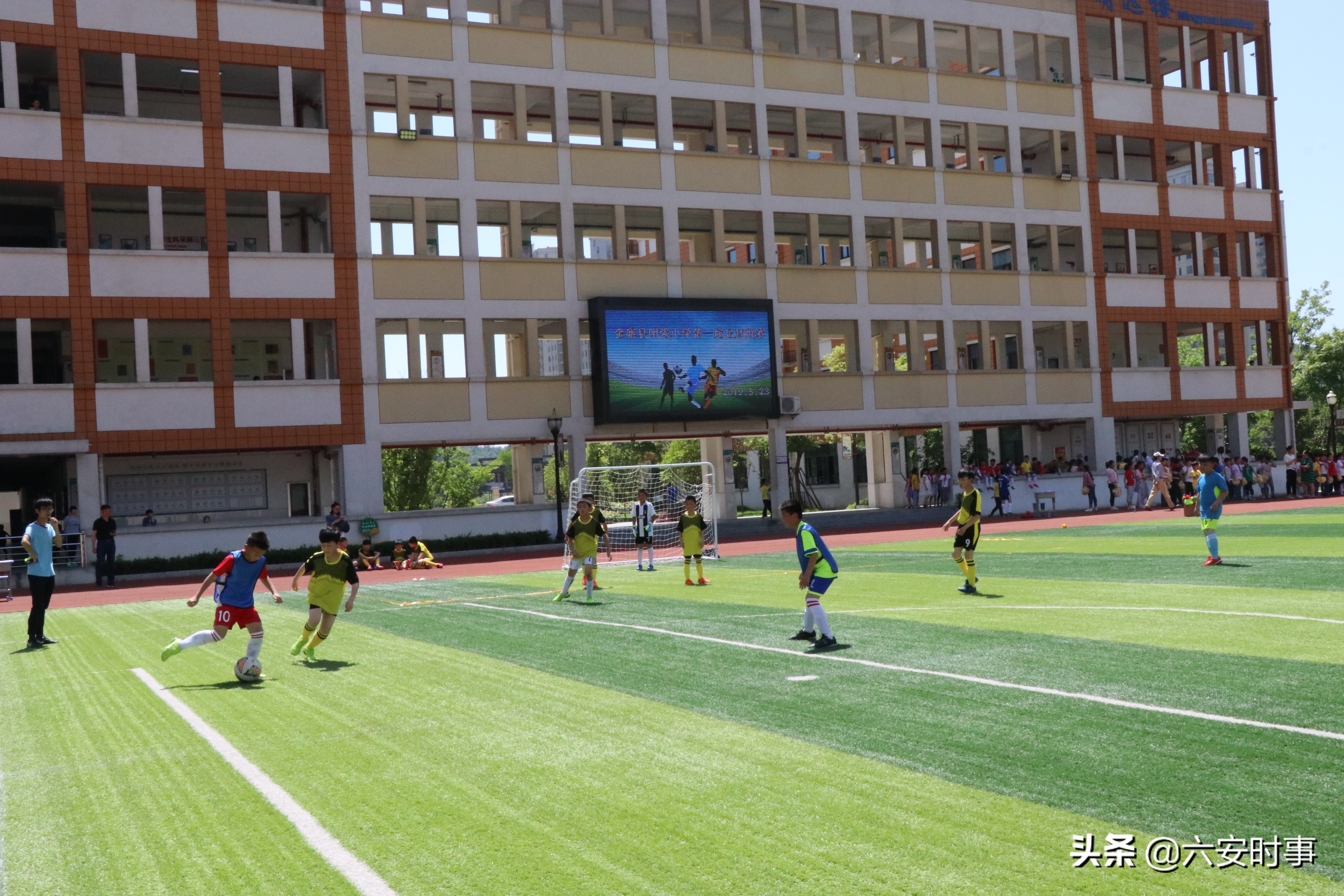 足球点亮梦想绿茵放飞希望手抄报,逐梦绿茵放飞希望征文