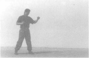 警用防暴棍对战短刀,警用棍式防暴器