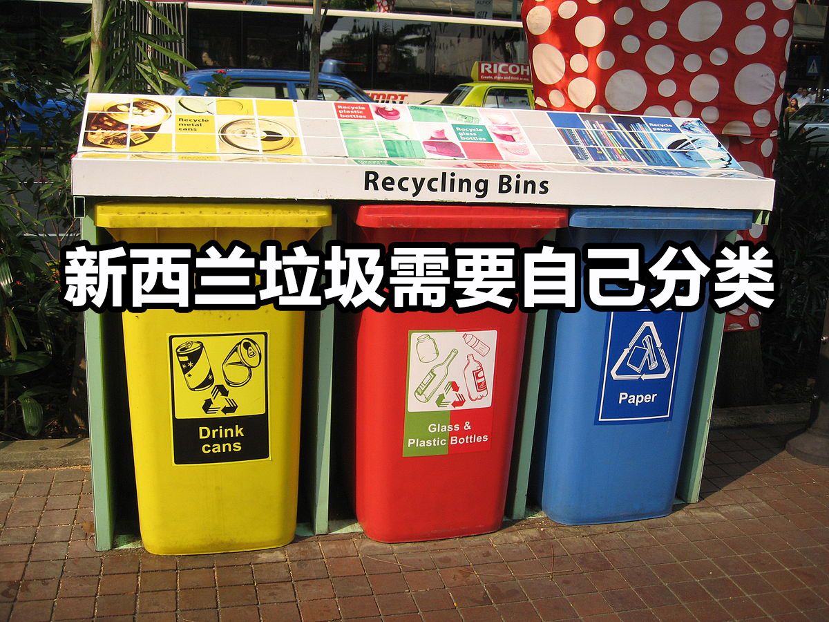 新西兰生活体验,新西兰的亲身经历