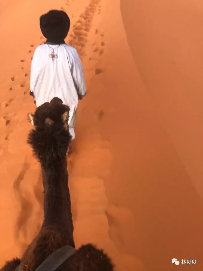 摩洛哥简单攻略,摩洛哥150天