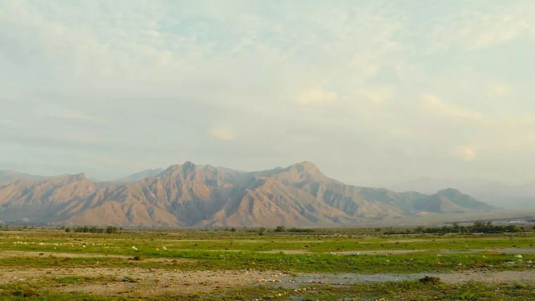 长城7年天赋葡萄酒价格表,长城天赋葡萄酒测评