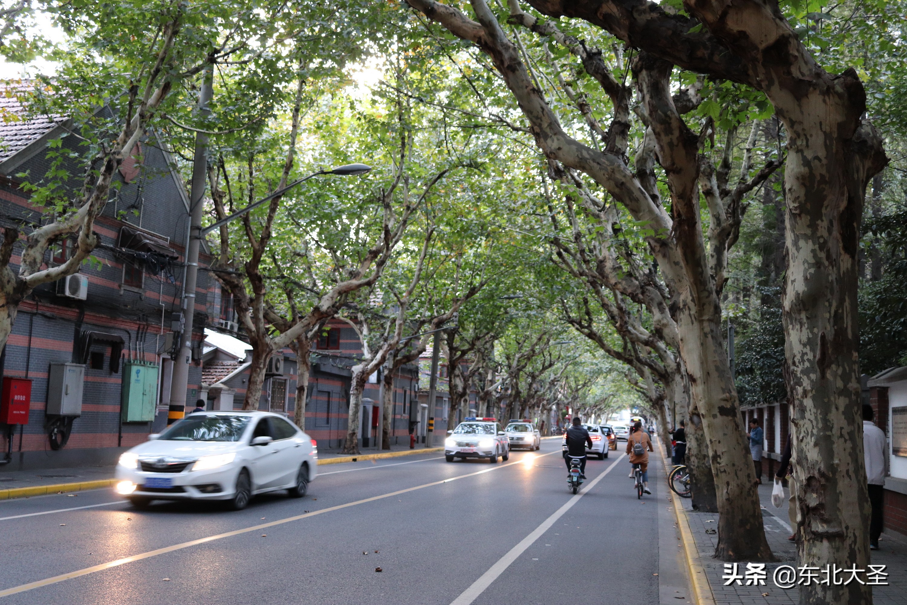 苏州杭州上海乌镇六日游含迪士尼,西湖乌镇南浔西塘三日游