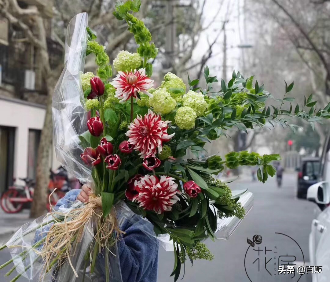 打造森系花房,闹市中的私家庭院花房