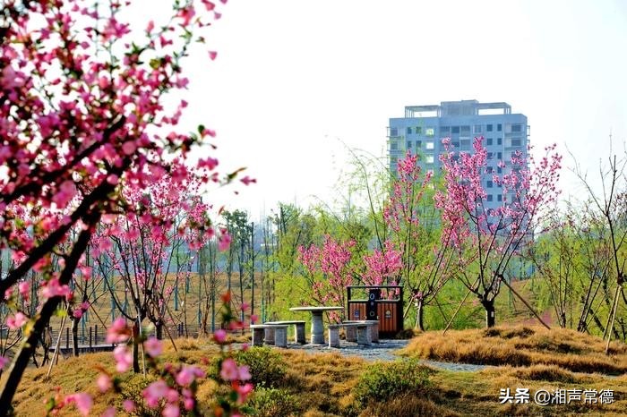 书写安乡情讴歌新时代——章绍君春联集锦