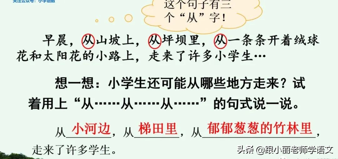 大青树下的小学重要背诵内容,大青树下的小学必会知识点