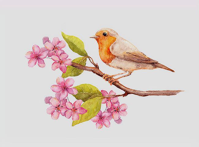 红楼梦葬花吟花谢花飞花满天,葬花吟黛玉葬花红楼梦