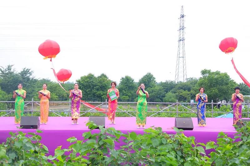 八方游客齐聚桑果紫酒节，共赴这场采桑品酿盛会