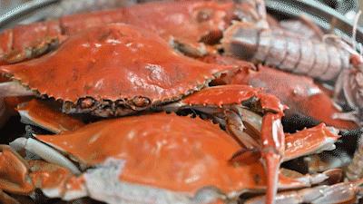 秦皇岛海浪花天桥海鲜批发市场,秦皇岛海浪花批发市场在哪