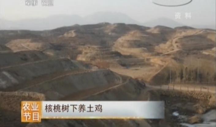 昔日“光棍村”，小伙子宁肯出去倒插门，如今村民纷纷盖新房买汽车