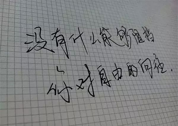 宜养神州房车营地,宜养神州房车