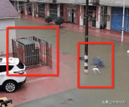 惊心动图+惨痛案例！物业人需提醒业主汛期防灾避险知识多重要？