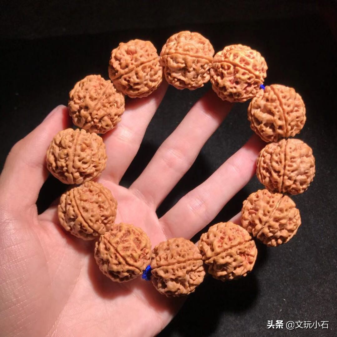 金刚菩提入门知识，新手必备，掌握了三言两语就能让别人刮目！