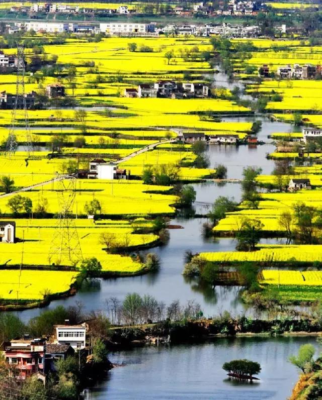 安徽春天美丽的视频,安徽美丽的春天