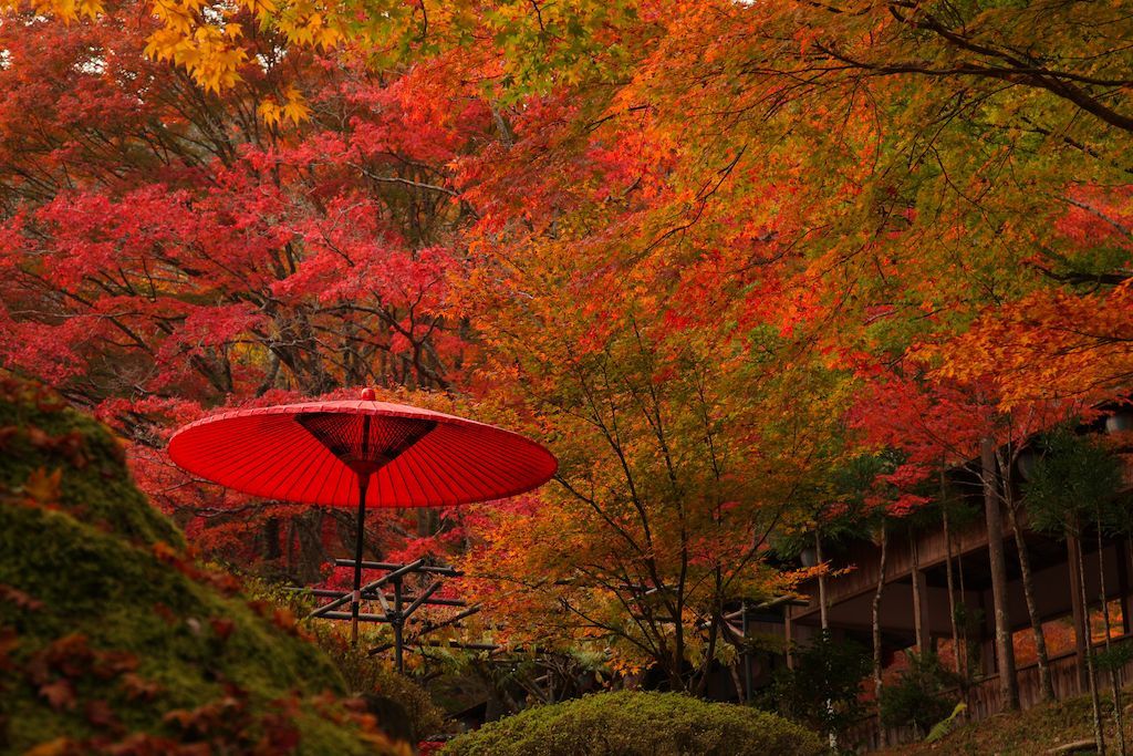 去日本机票买往返还是单程 (哈尔滨到日本往返机票)