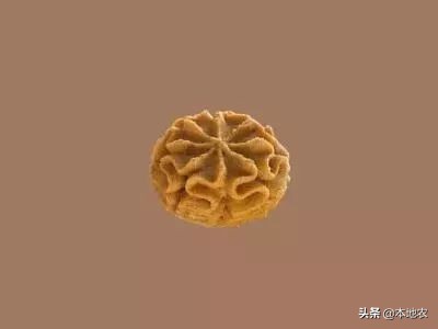 珍妮曲奇需要预热吗,提前准备七夕礼物热榜