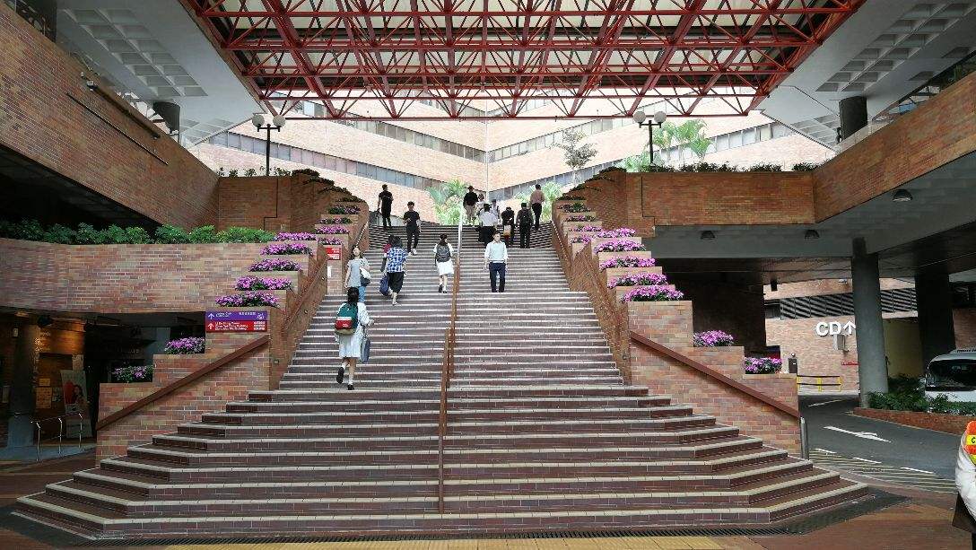 港大语言学本科专业如何,港大应用语言学就读体验