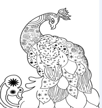 孔雀线描小学生一等奖画大全,黑色卡纸高光笔线描创意画孔雀