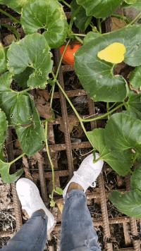 你见过的最搞笑的gif,搞笑gif开心一刻单身也挺好