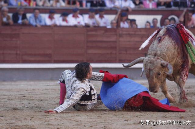 斗牛如果牛赢了还是要死,斗牛士为什么最后都杀死牛呢
