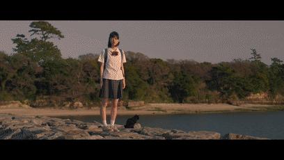 十部顶级治愈系猫片,十部顶级治愈猫的电影