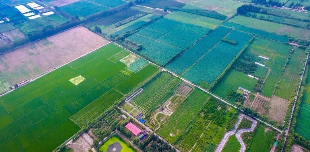 探秘黄河古渡口,探访古渡口